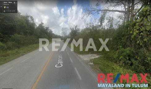 EN VENTA LOTE DE 1000 m2 EN MUYIL MUY CERCA DEL NUEVO AEROPUERTO DE TULUM.