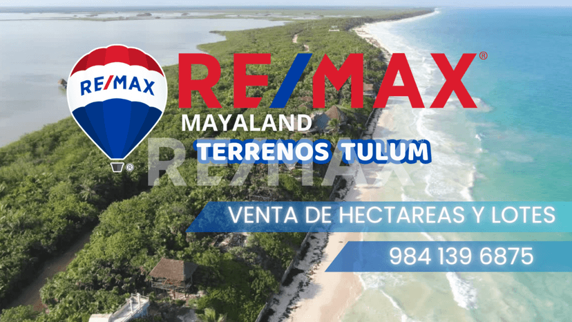 Venta de Hectareas y Lotes en Tulum !!!