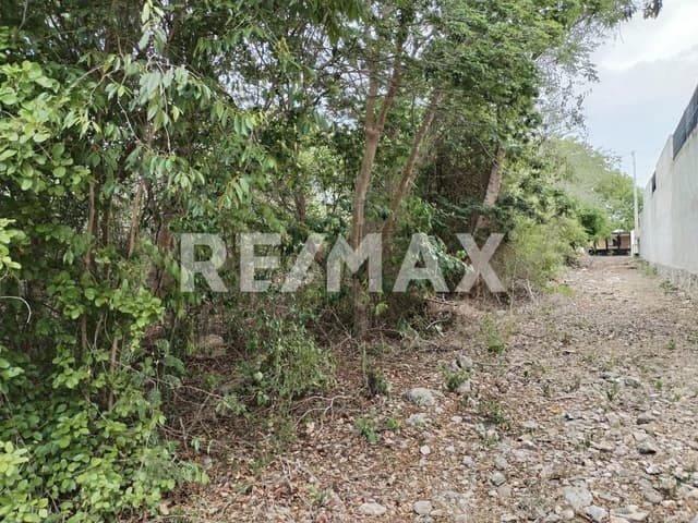 SE VENDE TERRENO LISTO PARA ESCRITURAR EN ZONA NORTE, CHOLUL MERIDA YUCATAN