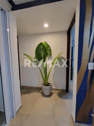 property image preview1