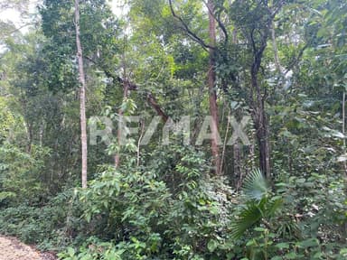 property image preview0