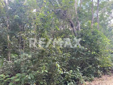 property image preview1
