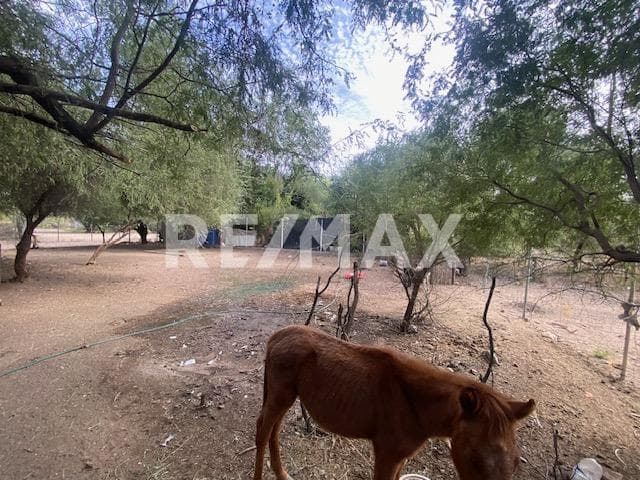 Terreno en venta en Ejido Mesa del Seri de Hermosillo, Sonora.