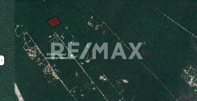 EN VENTA UNA HECTÁREA DE TERRENO EN AKUMAL, TULUM