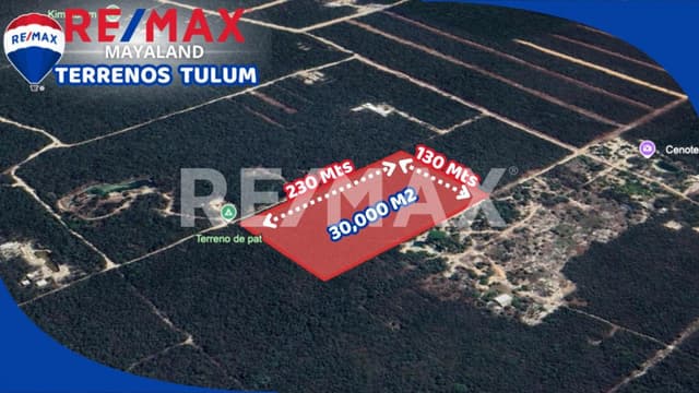 En venta 3 hectáreas con cenote !