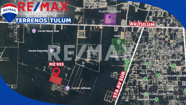 En venta 3 hectáreas con cenote !