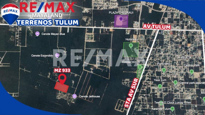En venta 3 hectáreas con cenote !