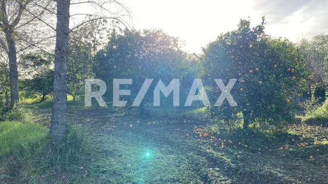 Venta terreno 10,041.50m2 en La Morita, Montemorelos Nuevo León, México. 