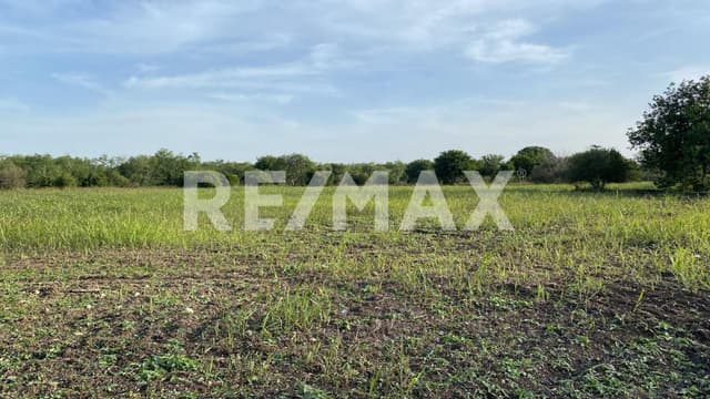 Venta terreno 10,000m2 en La Morita, Montemorelos Nuevo León, México. 