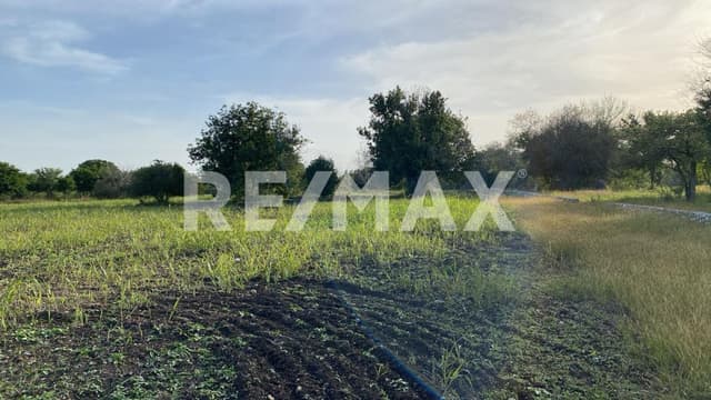 Venta terreno 10,000m2 en La Morita, Montemorelos Nuevo León, México. 