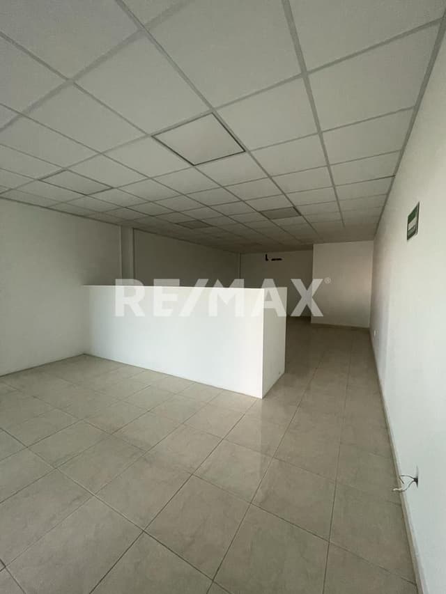 RENTA LOCAL COMERCIAL FRENTE A TEC MILENIO