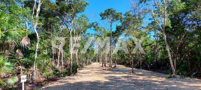 Terreno en Tulum