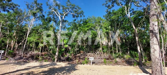Terreno en Tulum