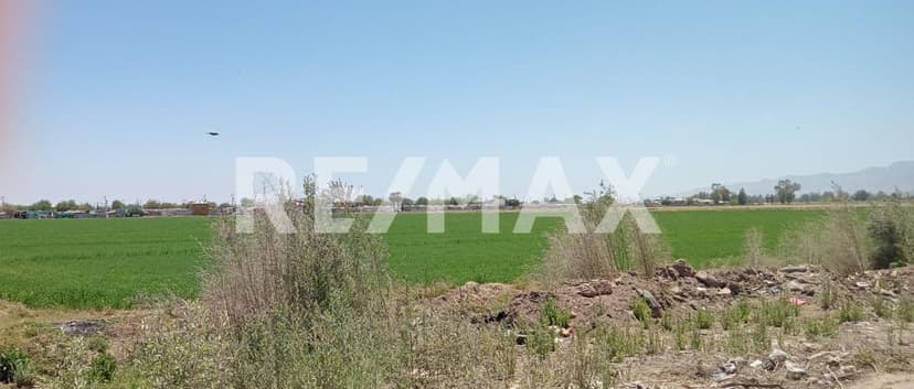 TERRENO 9 HECTARIAS COL. AHUMADITA