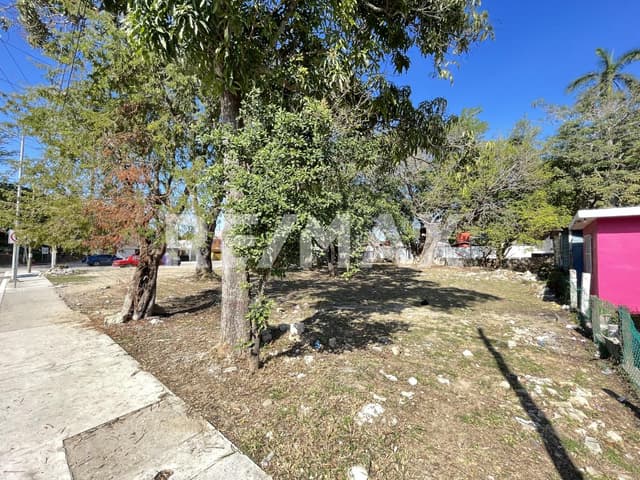 TERRENO EN VENTA - COL. CAMPBELL, TAMPICO