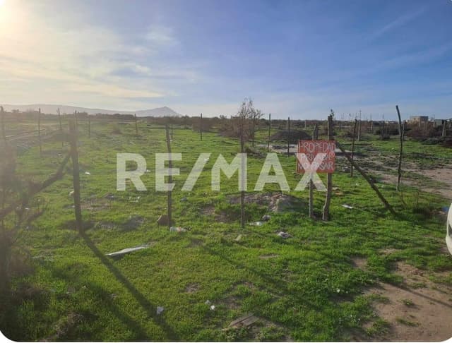TERRENO EN VENTA ZONA EL SALITRAL, ENSENADA BAJA CALIFORNIA