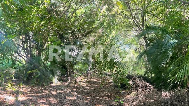 TERRENO EN ZONA DIAMANTE ACAPULCO DENTRO DE UN FRACCIONAMIENTO IDEAL PARA DESARROLLO HABITACIONAL