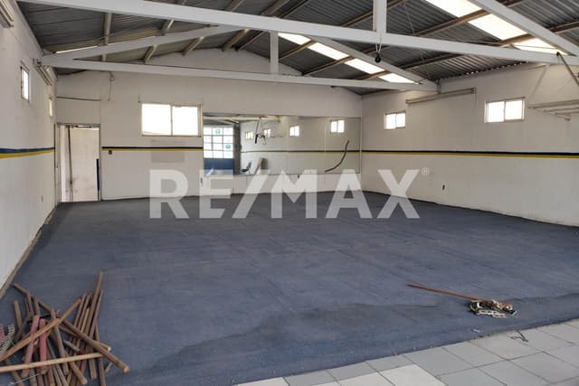 Local - Comercial en Renta - 5