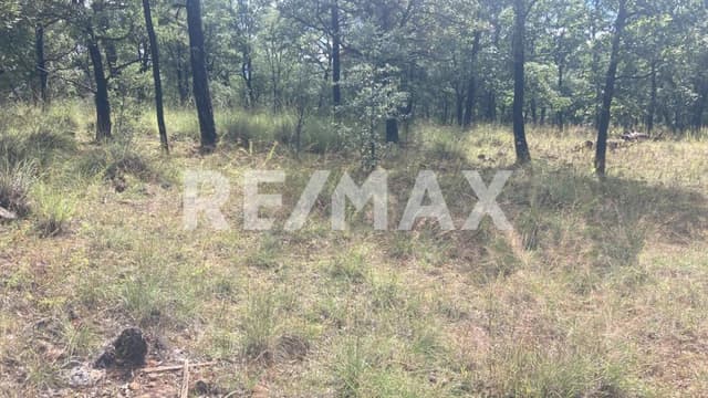 TERRENO EN LA SIERRA PEDREGAL DEL BOSQUE