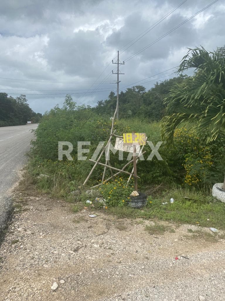 TERRENO EN VENTA CARRETERA TULUM COBA