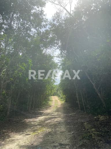 property image preview1