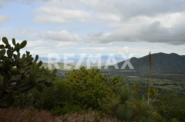 VENTA TERRENO 1 HA ECOLASTICAS, PEDRO ESCOBEDO