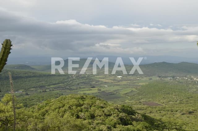 VENTA TERRENO 1 HA ECOLASTICAS, PEDRO ESCOBEDO