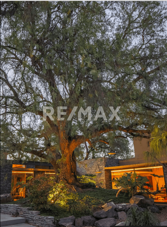 Gallery preview 2