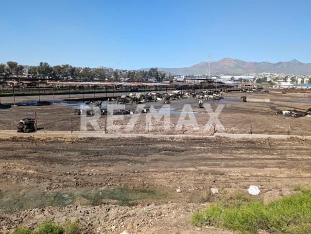 Terreno en Venta Quintas Campestres El Florido, Tijuana