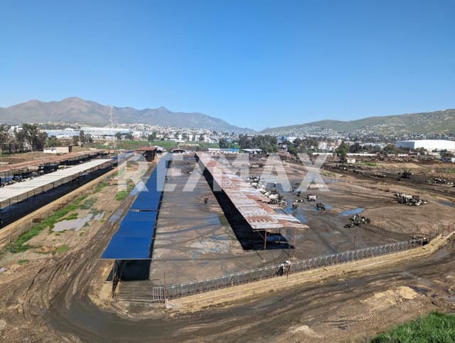Terreno en Venta Quintas Campestres El Florido, Tijuana