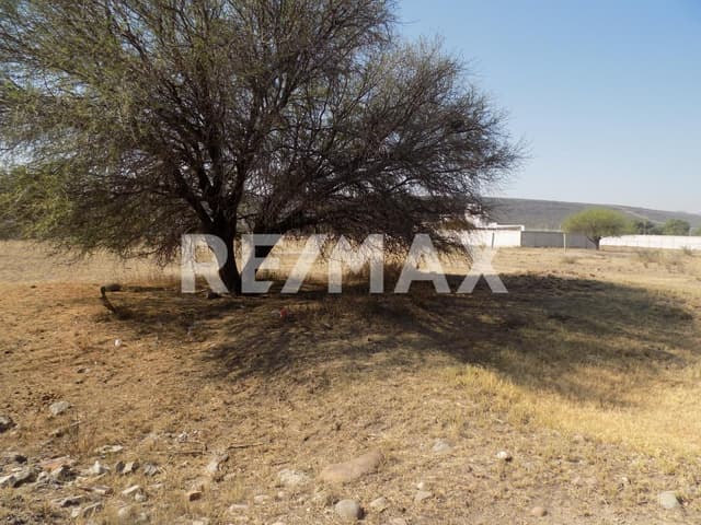 Terreno Campestre en Amazcala