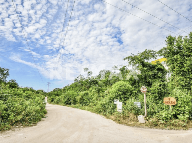 Terreno en la selva  Akumal- con cenote 