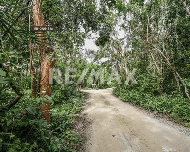 property image preview0