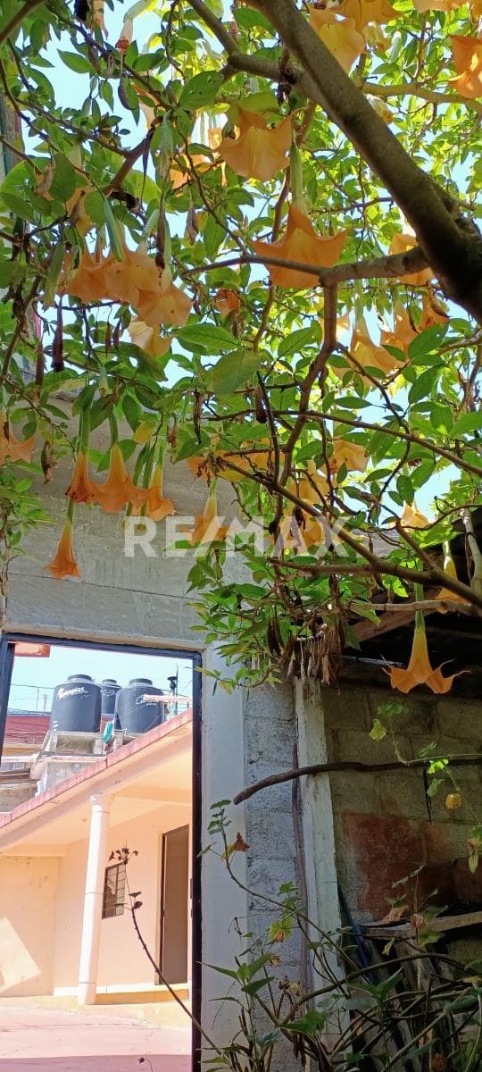 Casa con Amplio Terreno en Guadalupe