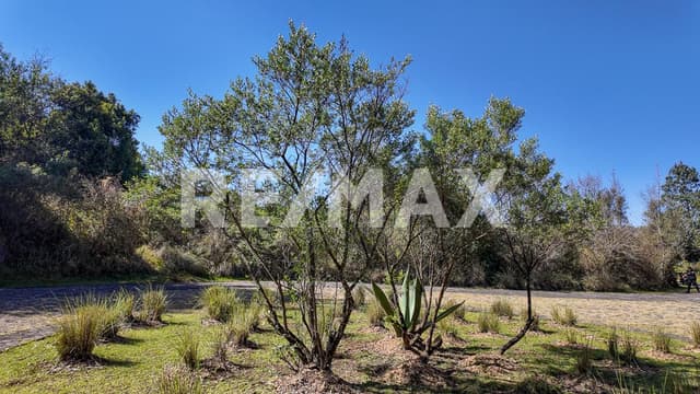 Terreno en Venta