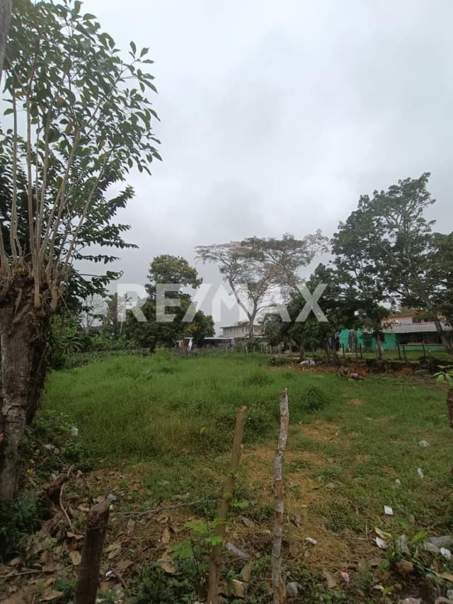 TERRENO EN VENTA EN OCUILTZAPOTLAN