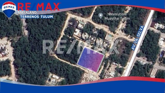 En venta terreno de 2047 m2 a 50 mts de av la selva en tulum