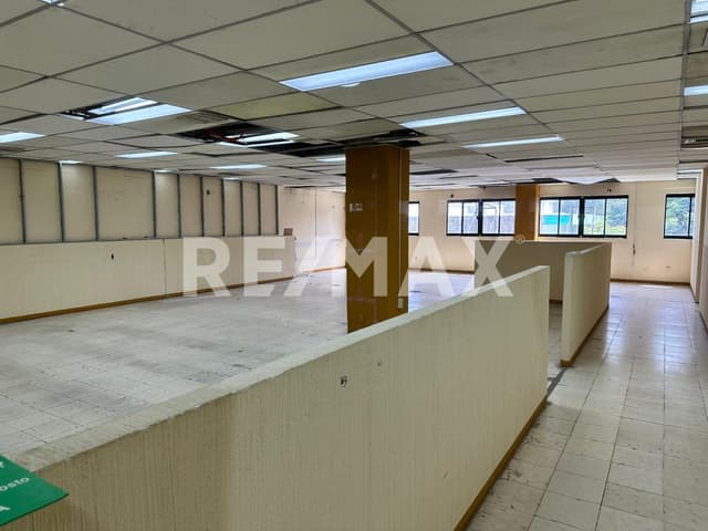 LOCAL  COMERCIAL EN RENTA