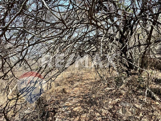 Venta de terreno en Fraccionamiento con vigilancia, Tamoanchan, Morelos...Clave 4885