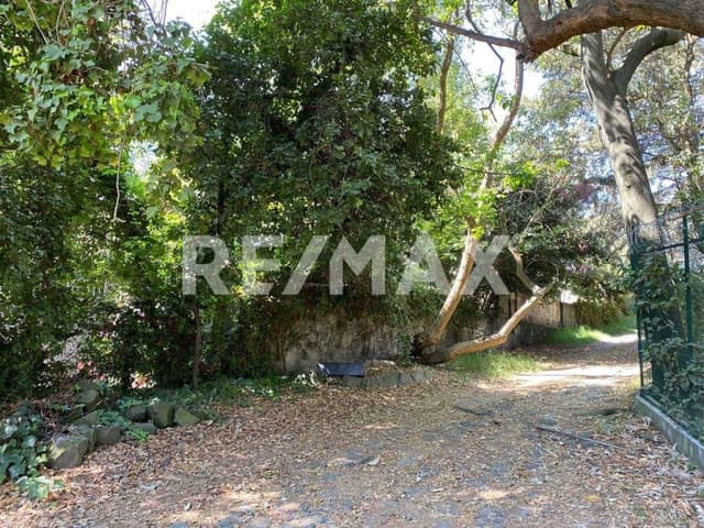 Terreno en Venta en Desierto de los Leones Lomas de los Cedros