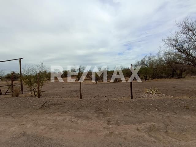 Terreno campestre en Real del Alamito de Hermosillo, Sonora.