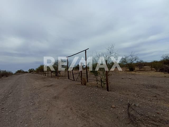 Terreno campestre en Real del Alamito de Hermosillo, Sonora.