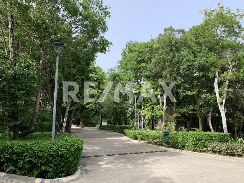 TAO TSE Studio For Sale in Bahia Principe