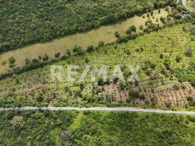 Terreno para desarrollar en Venta en El Barrial, Santiago