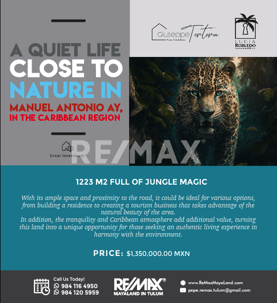 1223m2 Land at Jungle Tulum Region