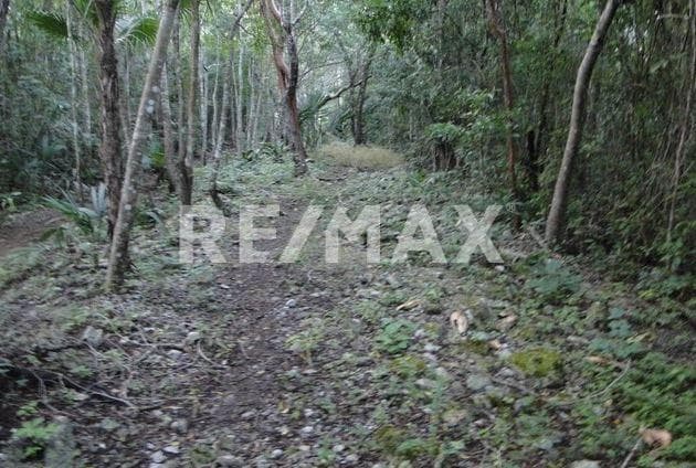Fotos adicionales
