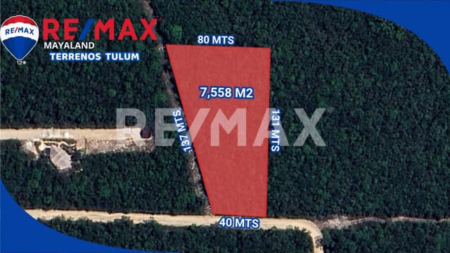 Oportunidad lote de 7558 m2 a solo 4.5 km de la playa de tulum