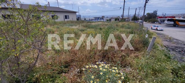 Terreno en Venta Mariano Matamoros Norte Tijuana