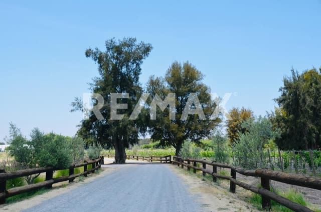 TERRENO EN VENTA EN SAN FRANCISCO SAN MIGUEL DE ALLENDE 