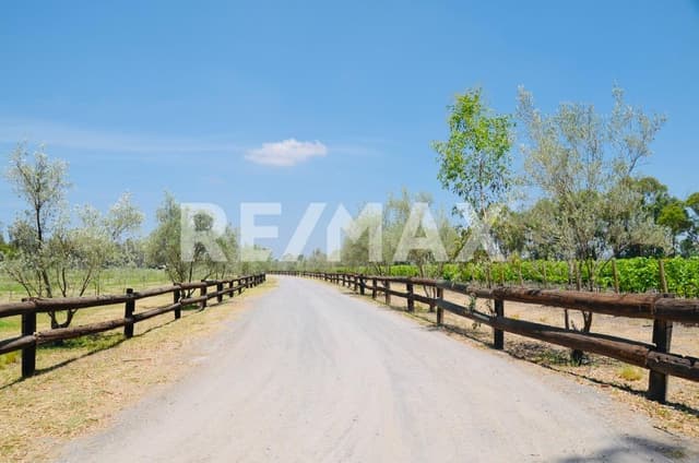 TERRENO EN VENTA EN SAN FRANCISCO SAN MIGUEL DE ALLENDE 